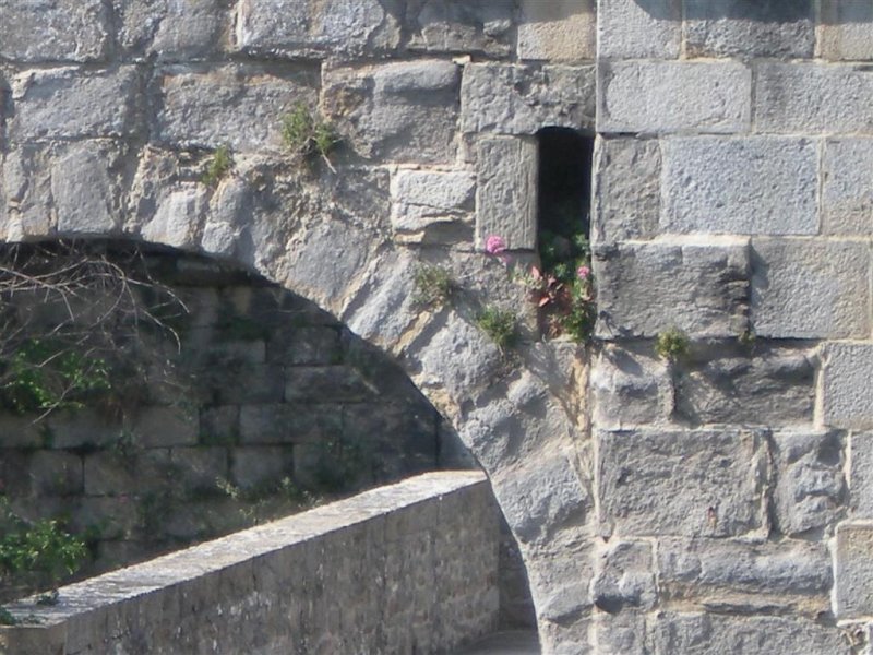 Original image
